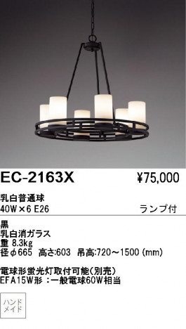 ��ƣ���� ENDO �����ǥꥢ EC-2163X