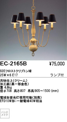 ƣ ENDO ǥꥢ EC-2165B