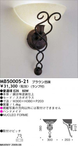 �ޥå����쥤 MAXRAY �֥饱�å� MB50005-21