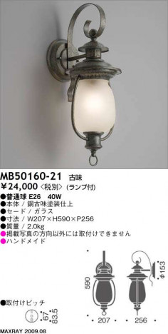 �ޥå����쥤 MAXRAY �֥饱�å� MB50160-21