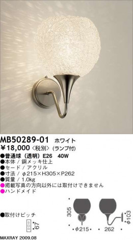 �ޥå����쥤 MAXRAY �֥饱�å� MB50289-01