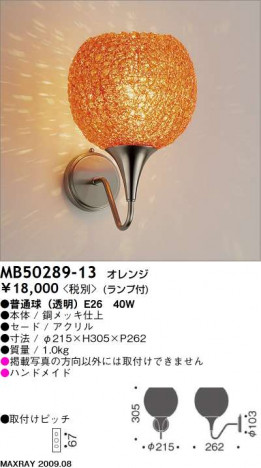 �ޥå����쥤 MAXRAY �֥饱�å� MB50289-13