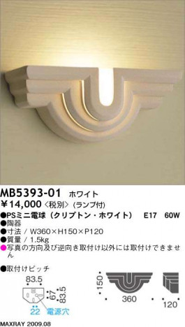 �ޥå����쥤 MAXRAY �֥饱�å� MB5393-01