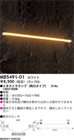 �ޥå����쥤 MAXRAY �֥饱�å� MB5491-01