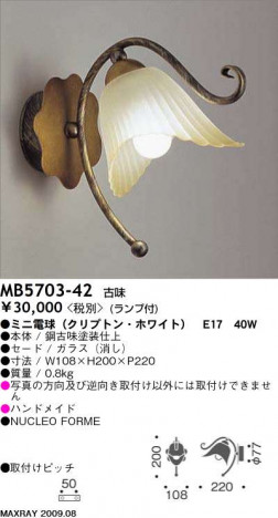 �ޥå����쥤 MAXRAY �֥饱�å� MB5703-42