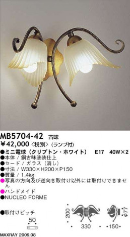 �ޥå����쥤 MAXRAY �֥饱�å� MB5704-42