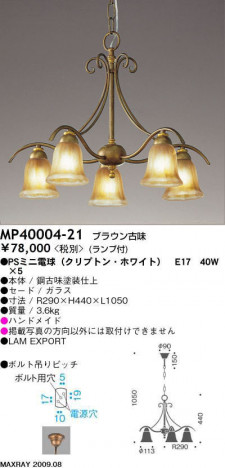 �ޥå����쥤 MAXRAY �����ǥꥢ MP40004-21