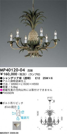 �ޥå����쥤 MAXRAY �ڥ����� MP40120-04
