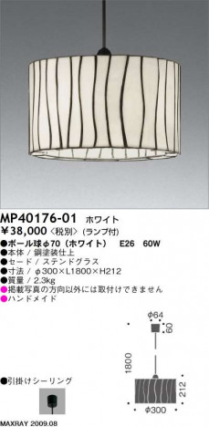 �ޥå����쥤 MAXRAY �ڥ����� MP40176-01