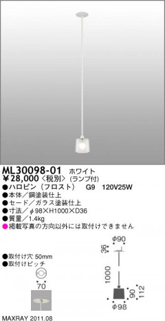 �ޥå����쥤 MAXRAY ������� ML30098-01