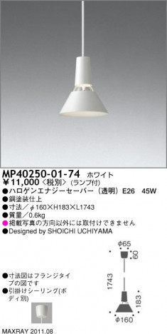 ޥå쥤 MAXRAY ڥ MP40250-01-74