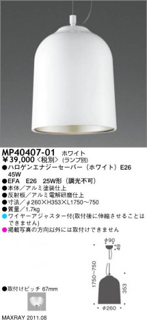 �ޥå����쥤 MAXRAY �ڥ����� MP40407-01