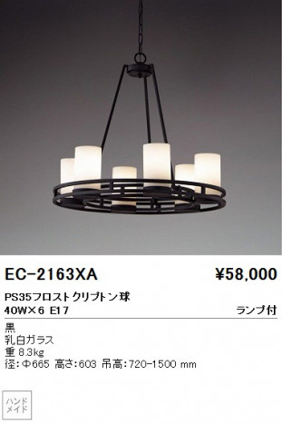 ��ƣ���� ENDO �����ǥꥢ EC-2163XA