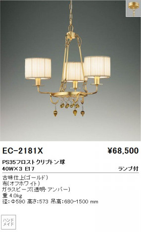 ƣ ENDO ǥꥢ EC-2181X