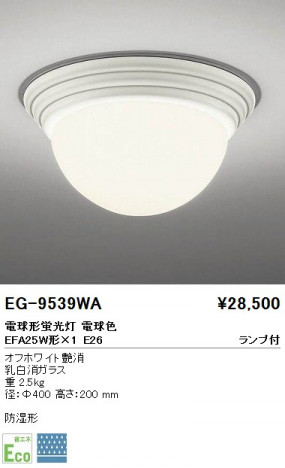 ��ƣ���� ENDO ������� EG-9539WA