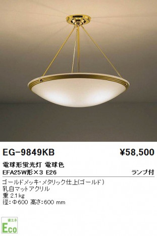 ��ƣ���� ENDO ������� EG-9849KB