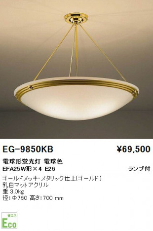 ��ƣ���� ENDO ������� EG-9850KB