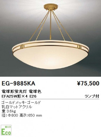 ��ƣ���� ENDO ������� EG-9885KA