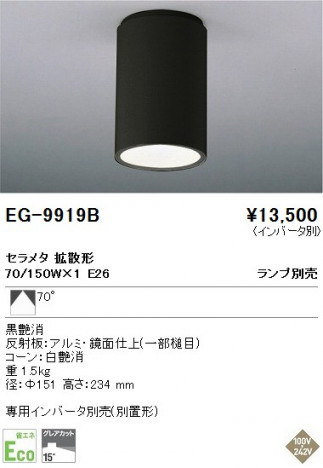 ��ƣ���� ENDO ������� EG-9919B