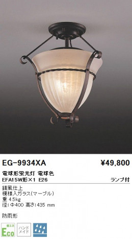 ��ƣ���� ENDO ������� EG-9934XA