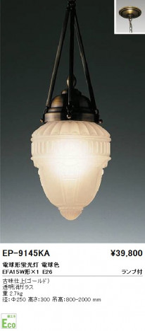 ��ƣ���� ENDO �ڥ����� EP-9145KA