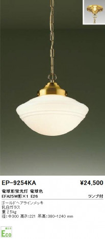 ��ƣ���� ENDO �ڥ����� EP-9254KA