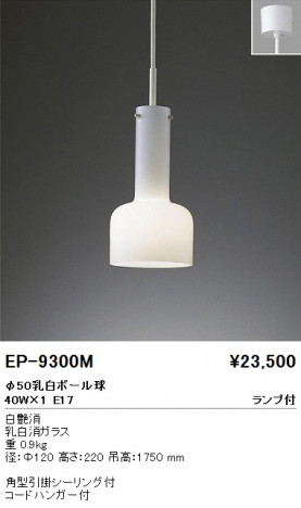 ��ƣ���� ENDO �ڥ����� EP-9300M