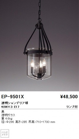 ��ƣ���� ENDO �ڥ����� EP-9501X