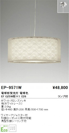 ��ƣ���� ENDO �ڥ����� EP-9571W