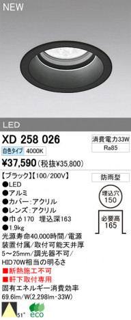 ODELIC ǥå LEDȥɥ 饤 XD258026 ᥤ̿