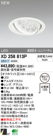 ODELIC ǥå LED饤 XD258813P ᥤ̿