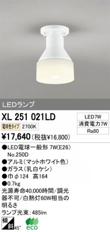 ODELIC �����ǥ�å� LED ����������󥰥饤�� XL251021LD �ᥤ��̿�