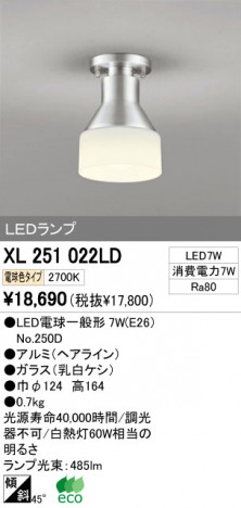 ODELIC �����ǥ�å� LED ����������󥰥饤�� XL251022LD �ᥤ��̿�