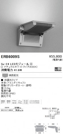 ��ƣ���� ENDO LED �����ȥɥ� ERB6009S �ᥤ��̿�