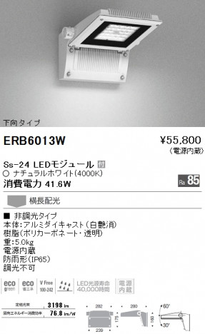 ��ƣ���� ENDO LED �����ȥɥ� ERB6013W �ᥤ��̿�
