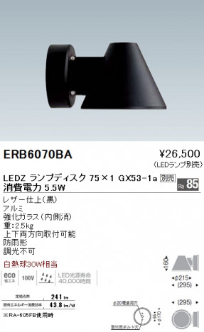 ��ƣ���� ENDO LED �����ȥɥ� ERB6070BA �ᥤ��̿�