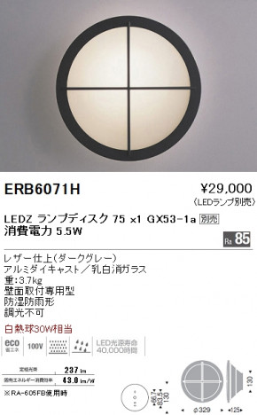 ��ƣ���� ENDO LED �����ȥɥ� ERB6071H �ᥤ��̿�