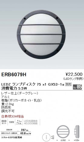 ��ƣ���� ENDO LED �����ȥɥ� ERB6079H �ᥤ��̿�