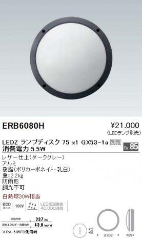 ��ƣ���� ENDO LED �����ȥɥ� ERB6080H �ᥤ��̿�