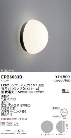 ��ƣ���� ENDO LED �����ȥɥ� ERB6083B �ᥤ��̿�