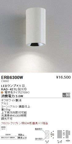 ��ƣ���� ENDO LED �֥饱�å� ERB6300W �ᥤ��̿�