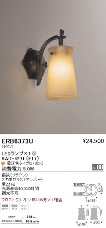��ƣ���� ENDO LED �֥饱�å� ERB6373U �ᥤ��̿�