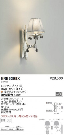 ��ƣ���� ENDO LED �֥饱�å� ERB6398X �ᥤ��̿�