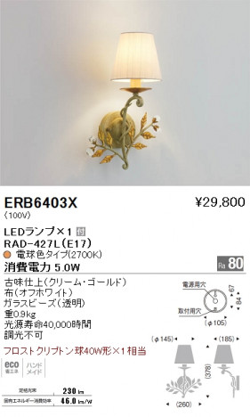 ��ƣ���� ENDO LED �֥饱�å� ERB6403X �ᥤ��̿�