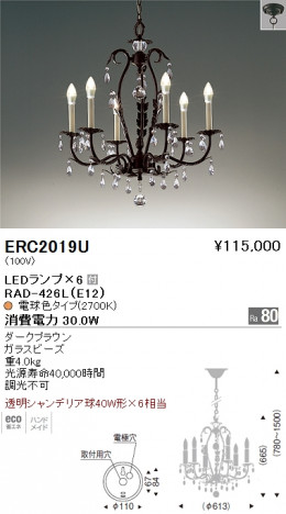 ��ƣ���� ENDO LED �����ǥꥢ ERC2019U �ᥤ��̿�