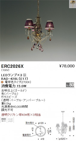 ��ƣ���� ENDO LED �����ǥꥢ ERC2026X �ᥤ��̿�