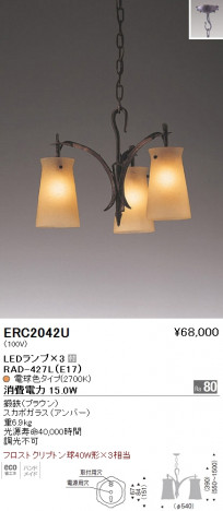 ��ƣ���� ENDO LED �����ǥꥢ ERC2042U �ᥤ��̿�