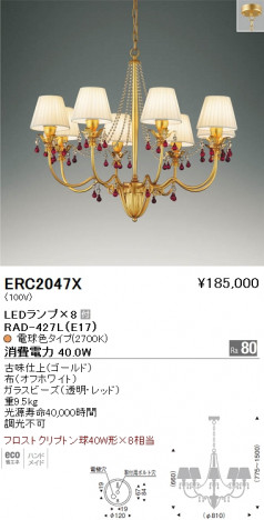 ��ƣ���� ENDO LED �����ǥꥢ ERC2047X �ᥤ��̿�