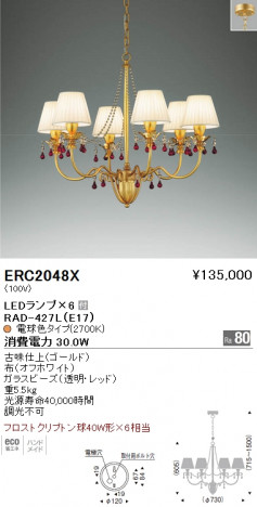 ��ƣ���� ENDO LED �����ǥꥢ ERC2048X �ᥤ��̿�