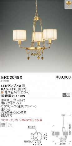 ��ƣ���� ENDO LED �����ǥꥢ ERC2049X �ᥤ��̿�